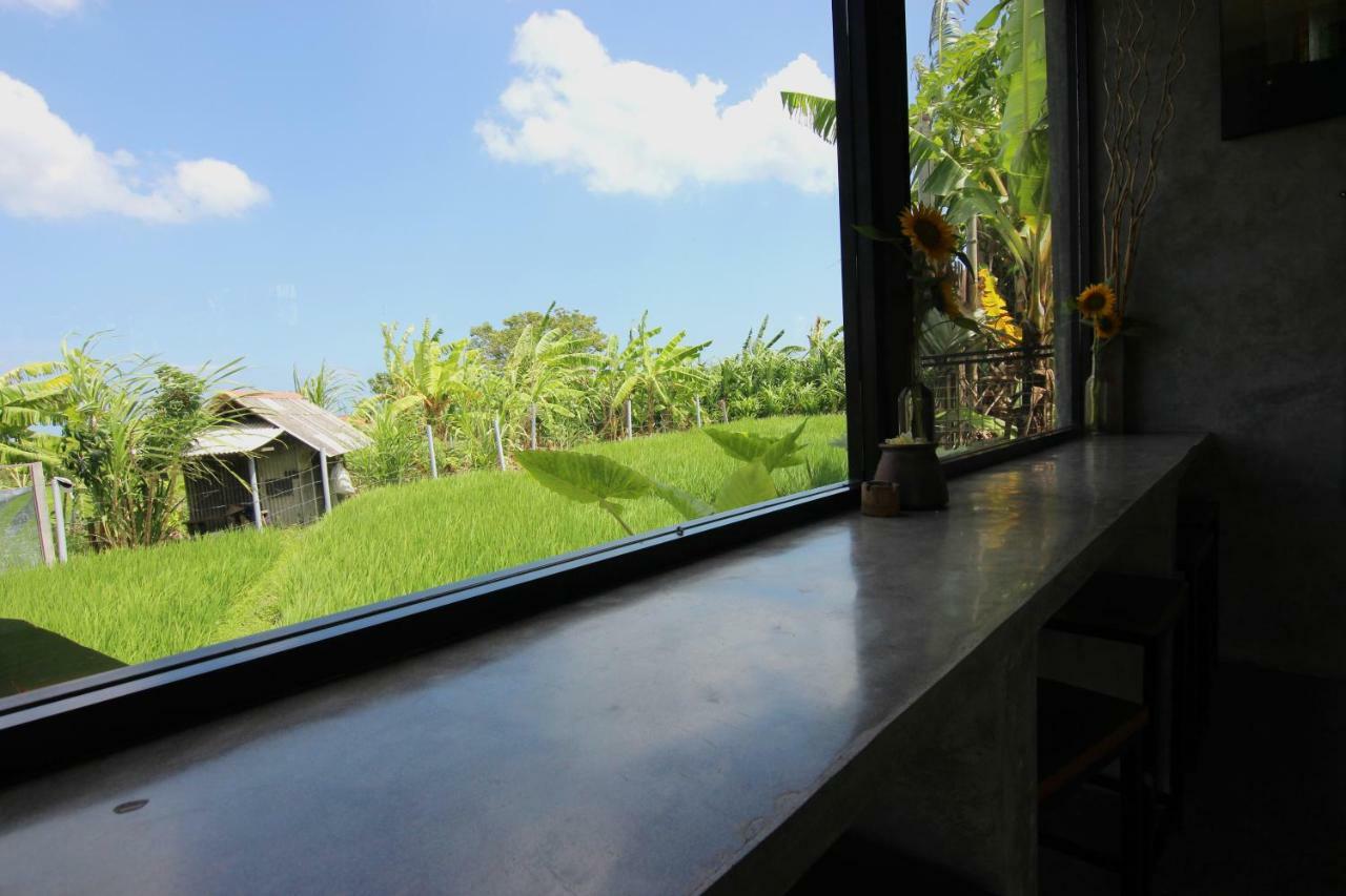 Ferienwohnung De Vir House Canggu Exterior foto